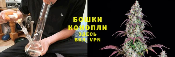 дурь Инсар