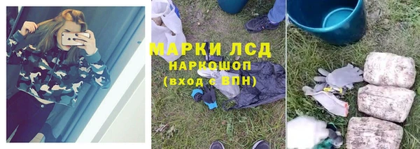 трава Зеленокумск